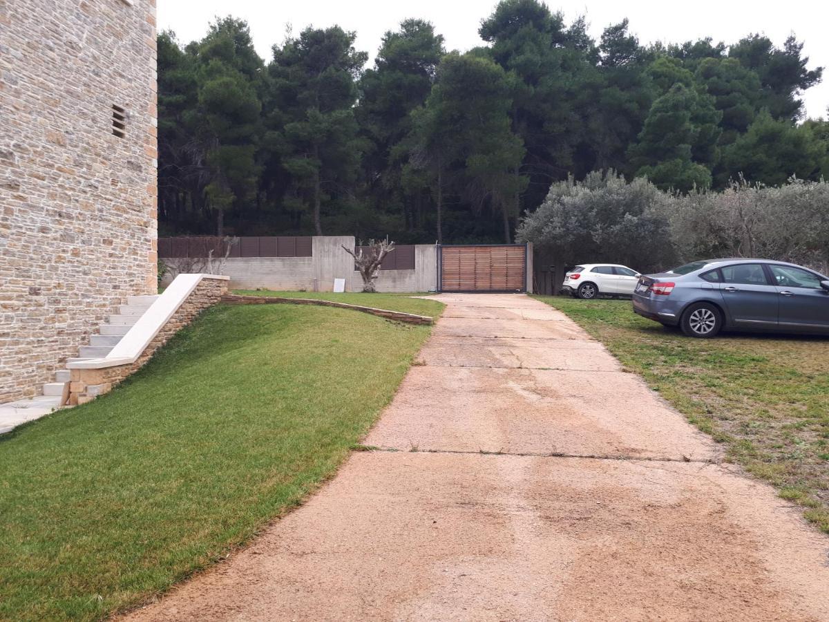 Villa Kalamos / Sea View And Pool Nearby Athens Exterior photo